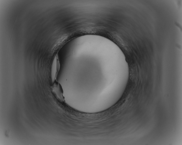 X0000091230023200709061528