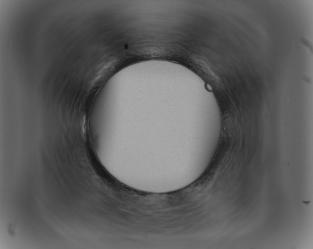 X0000091230024200709061528
