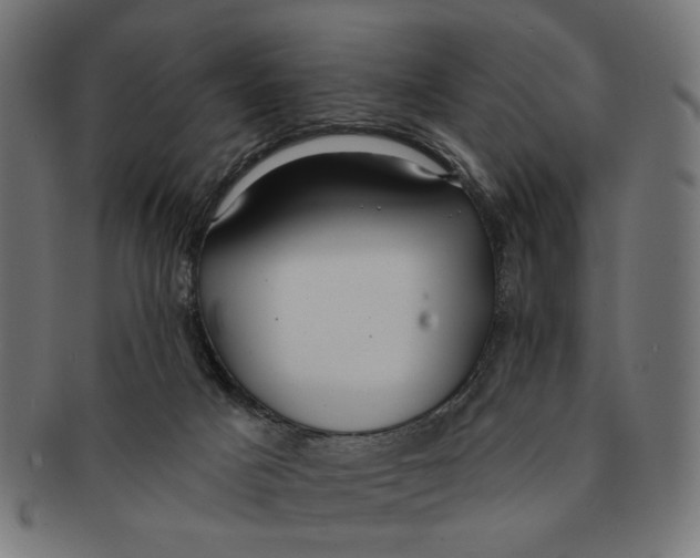 X0000091230025200709061528