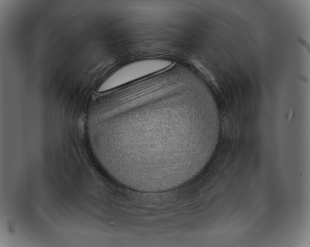 X0000091230026200709061528