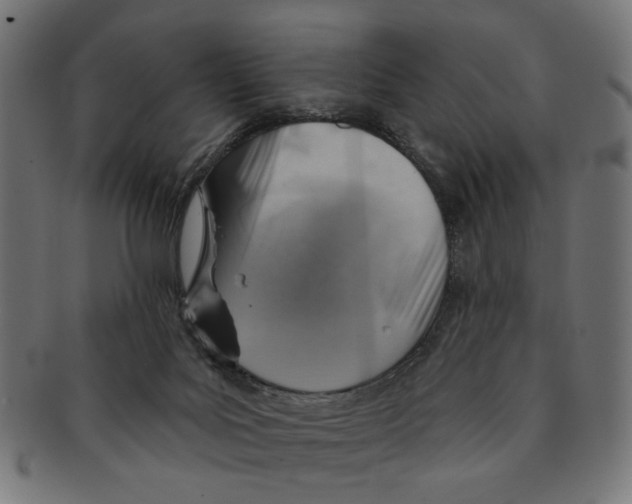 X0000091230027200709061528