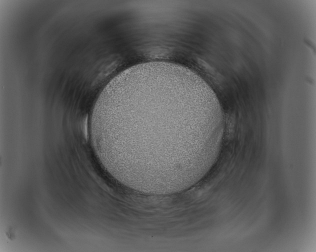 X0000091230028200709061528