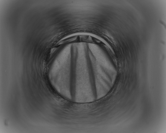 X0000091230029200709061528