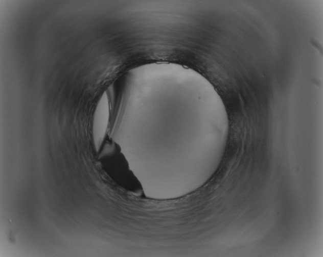 X0000091230031200709061528