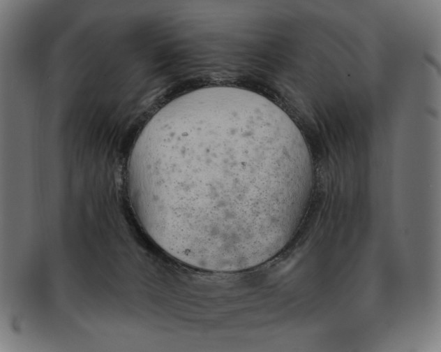 X0000091230032200709061528