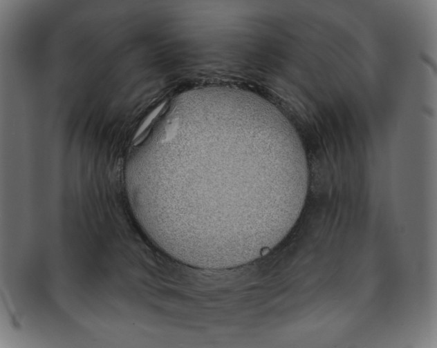 X0000091230034200709061528