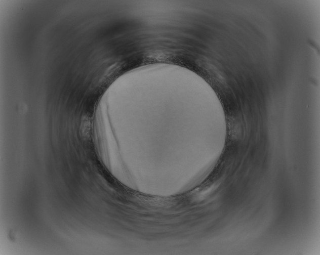 X0000091230036200709061528