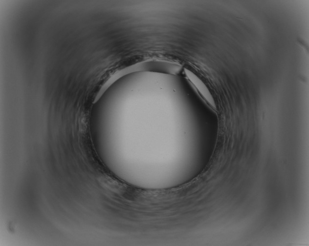 X0000091230037200709061528