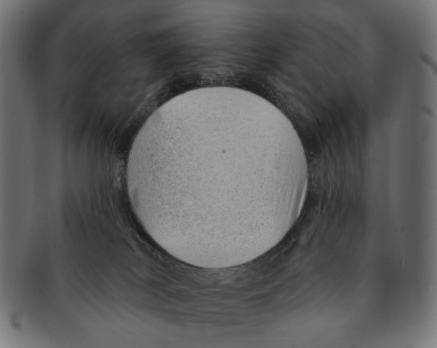 X0000091230038200709061528