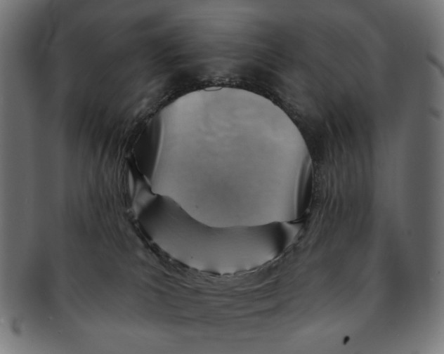 X0000091230039200709061528