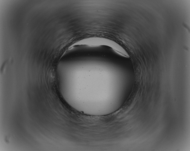X0000091230040200709061528