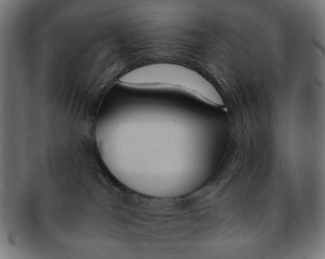 X0000091230044200709061528