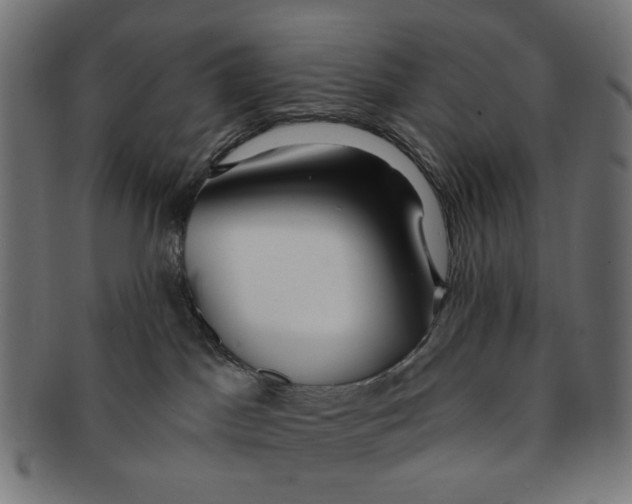 X0000091230045200709061528