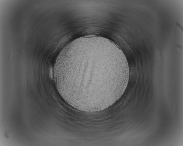 X0000091230046200709061528