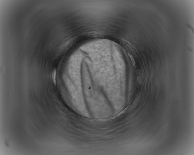 X0000091230047200709061528