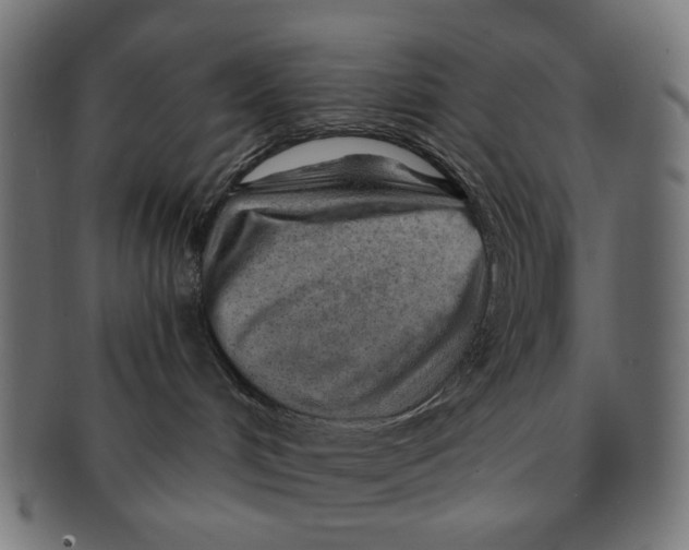 X0000091230048200709061528