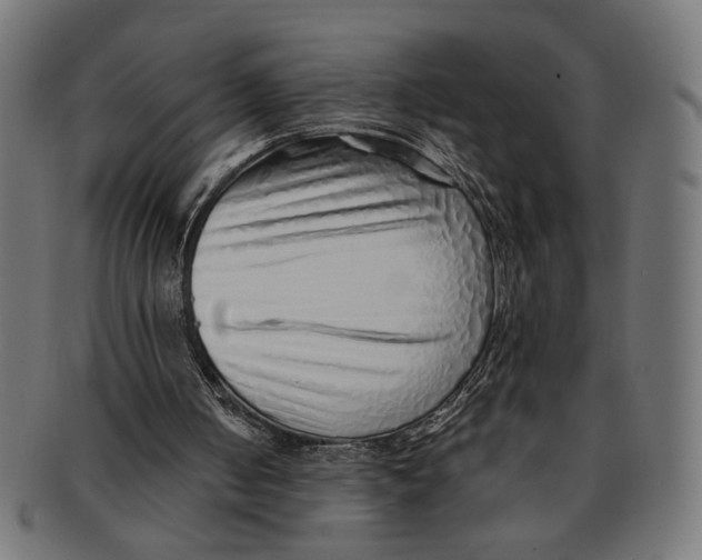 X0000091230050200709061527
