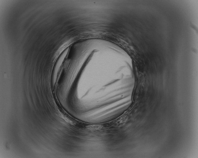 X0000091230051200709061527