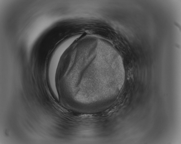X0000091230052200709061527