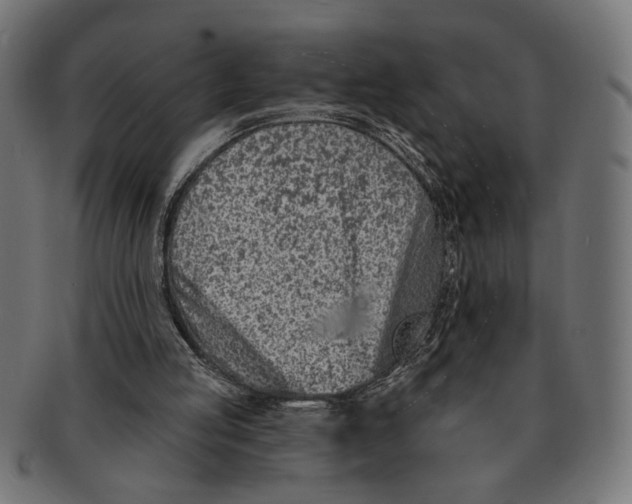X0000091230053200709061527