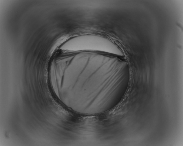 X0000091230054200709061527