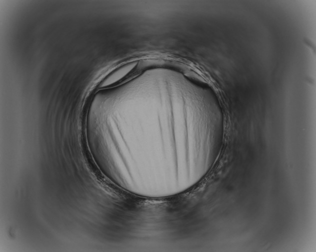 X0000091230055200709061527