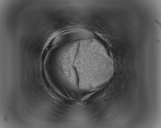X0000091230056200709061527