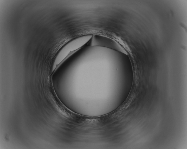 X0000091230057200709061527