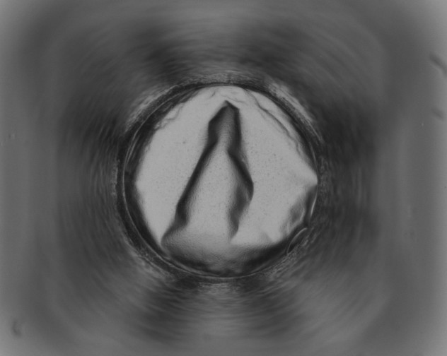 X0000091230058200709061527
