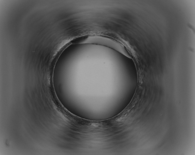 X0000091230060200709061527