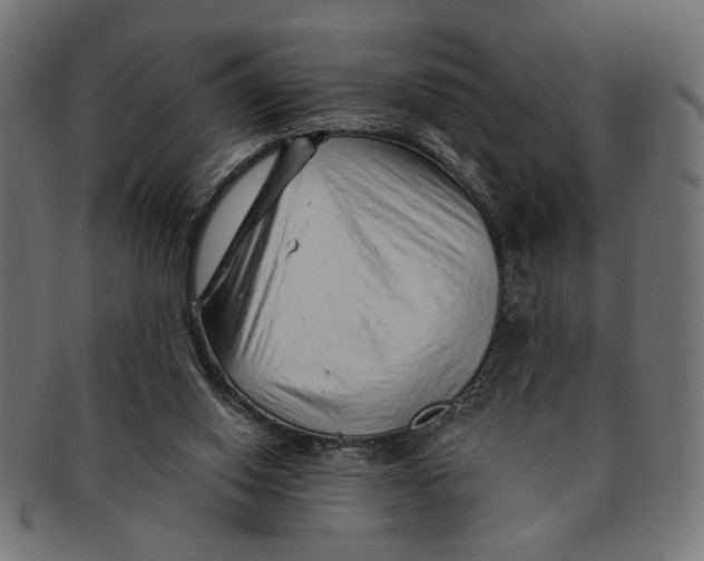 X0000091230062200709061527