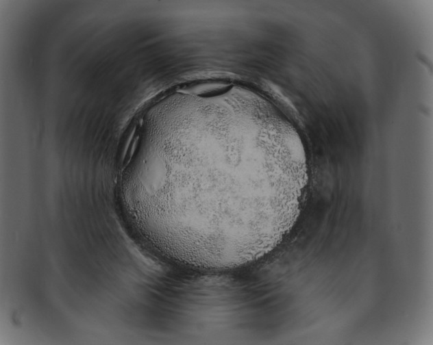 X0000091230063200709061527