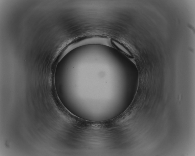 X0000091230064200709061527