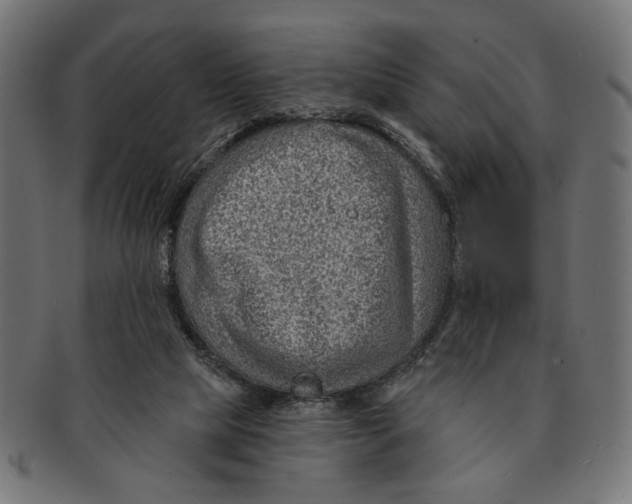 X0000091230065200709061527