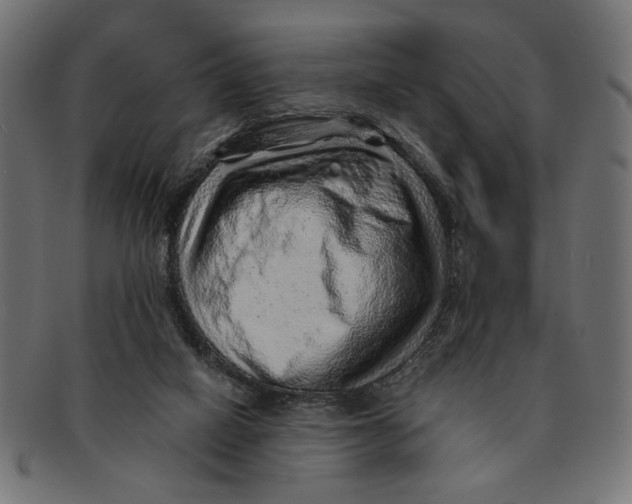X0000091230066200709061527