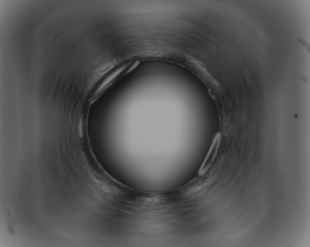X0000091230068200709061527