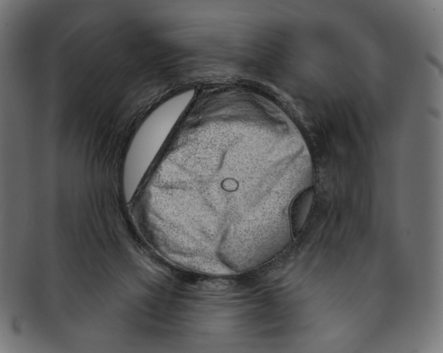X0000091230069200709061528