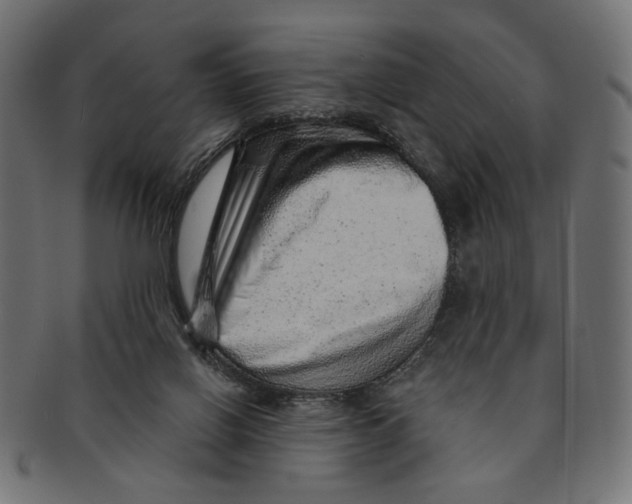 X0000091230070200709061528