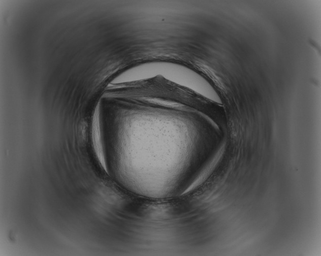 X0000091230071200709061528