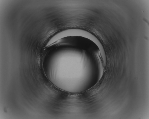 X0000091230072200709061528