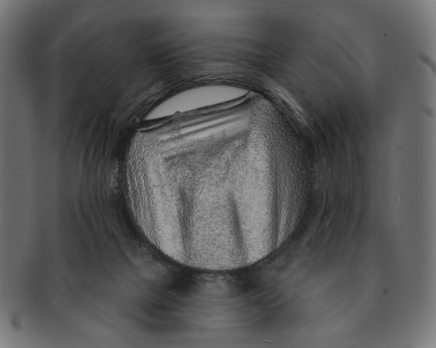 X0000091230073200709061528