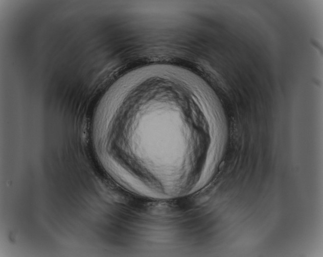 X0000091230074200709061528