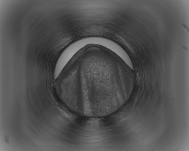 X0000091230076200709061528