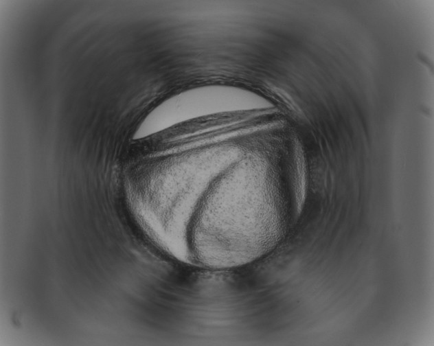 X0000091230077200709061528