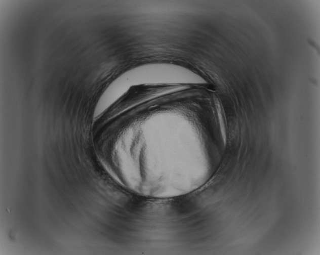 X0000091230078200709061528