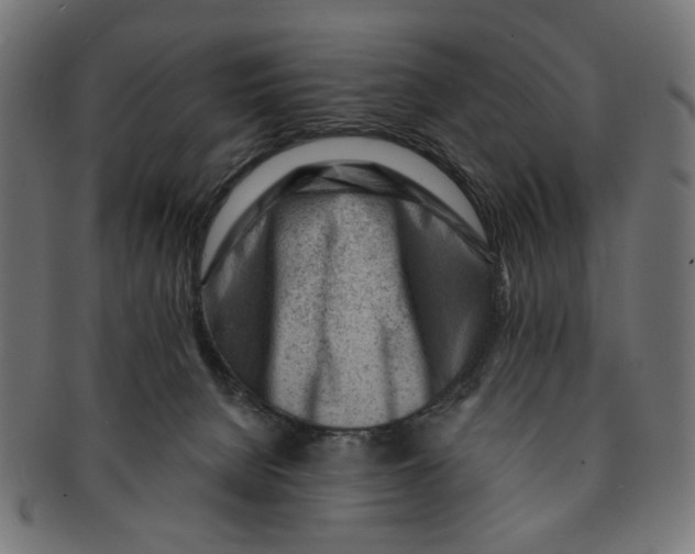 X0000091230080200709061528