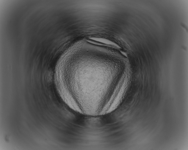 X0000091230081200709061528