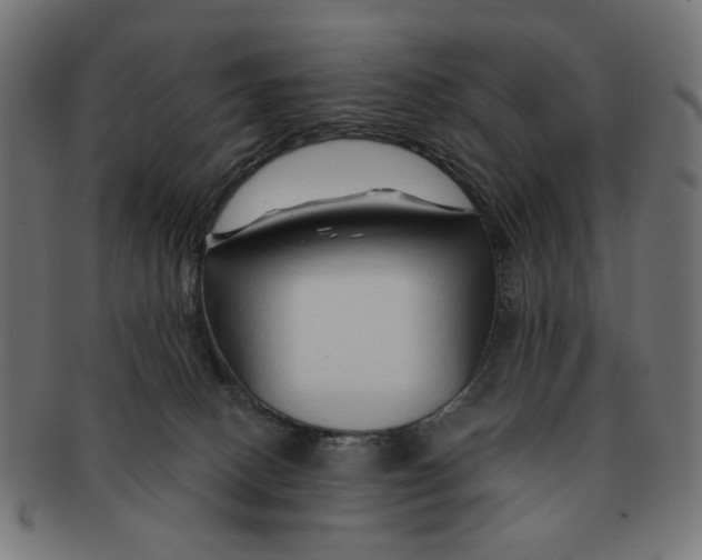 X0000091230082200709061528