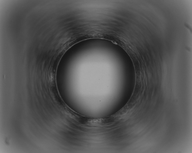 X0000091230084200709061528