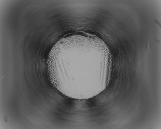 X0000091230085200709061528